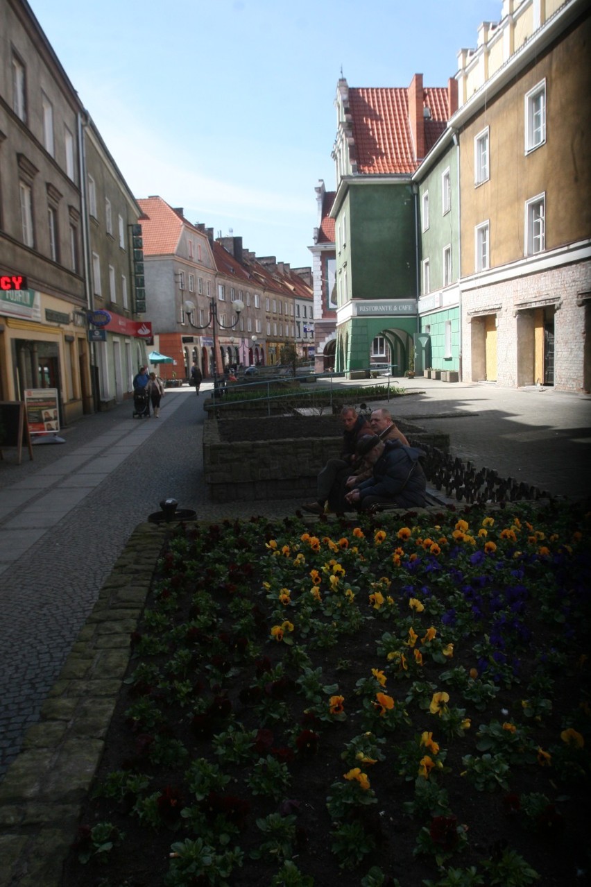 Ulica Długa w Raciborzu w kolorowych rabatach