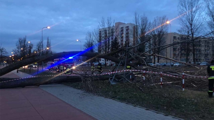 Do zdarzenia doszło w sobotę, 22 lutego, w Zielonej Górze....