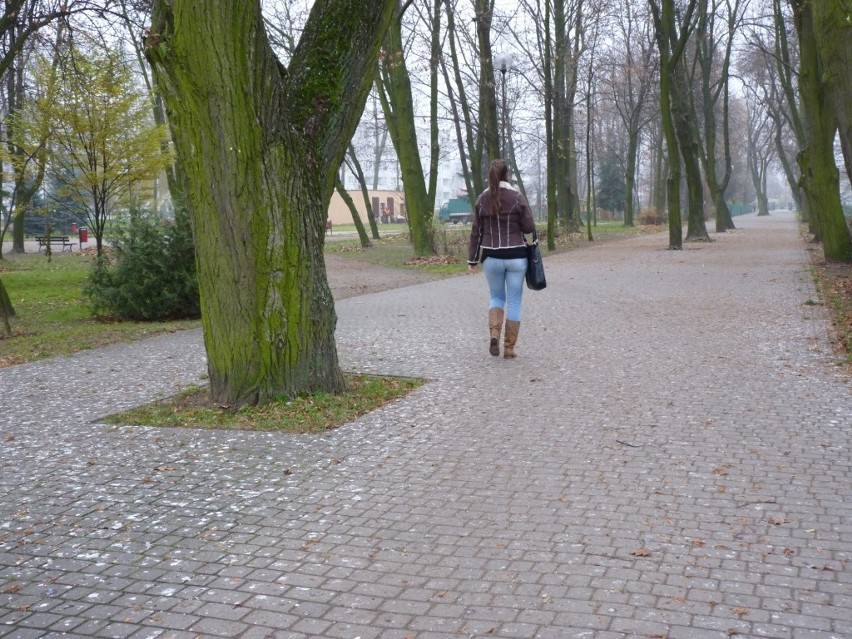 Park Świętojański dla ludzi czy ptaków?