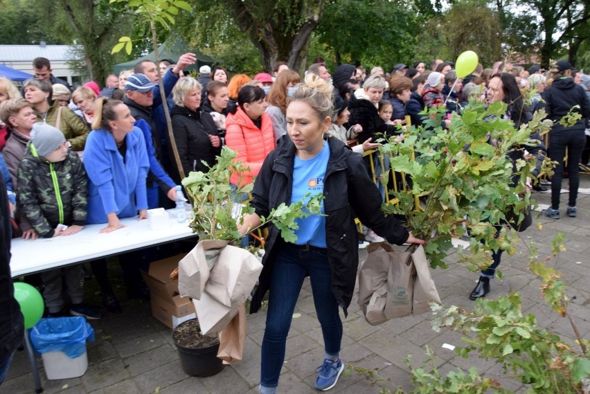 Olbrzymi sukces akcji "Drzewka za surowce" w Końskich. Tysiące osób wymieniły baterie i puste butelki na sadzonki [WIDEO, ZDJĘCIA]
