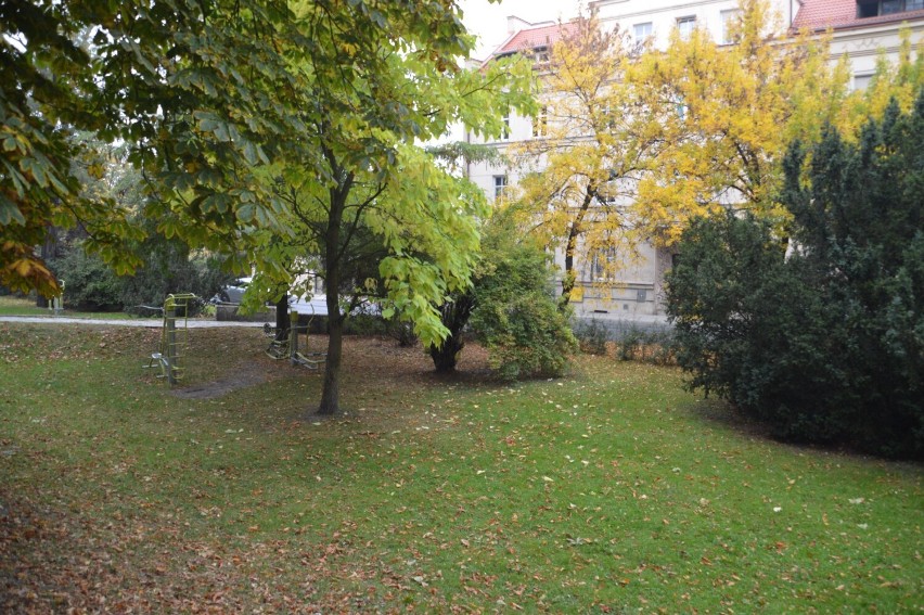 Rawicz. Na Plantach Jana Pawła II zrobiło się już jesiennie. Liście na drzewach w jesiennych barwach [ZDJĘCIA]