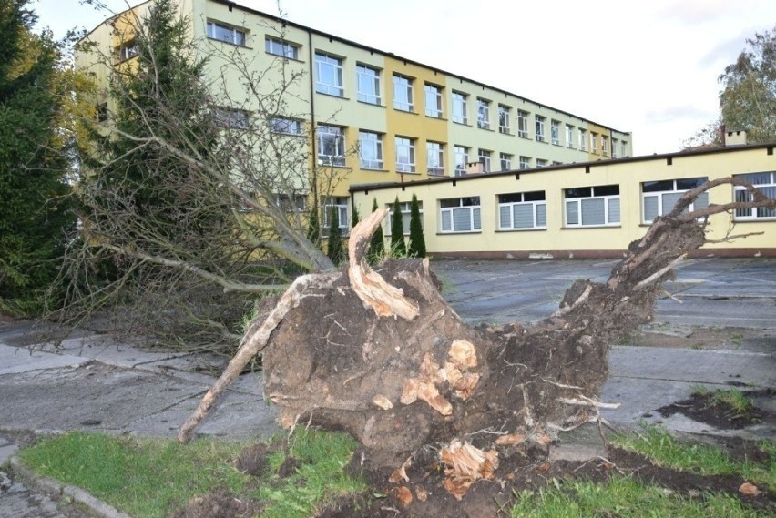 Straż pożarna interweniowała już ponad 1400 razy. Oto skutki wichury w Kujawsko-Pomorskiem! [zdjęcia]