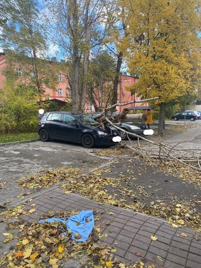 Straż pożarna interweniowała już ponad 1400 razy. Oto skutki wichury w Kujawsko-Pomorskiem! [zdjęcia]