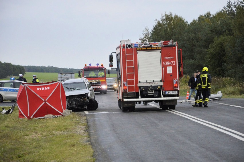 Śmiertelny wypadek na drodze Głogów-Orsk, obok Trzęsowa