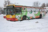 Puławy: Zaproponuj kolorystykę miejskich autobusów