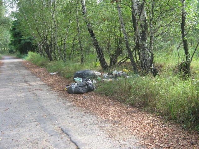 Podrzucone śmieci na Błękitnej w Rybniku.