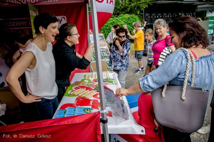 Wałbrzych: Piąty @Ekologiczny piknik, tym razem na Piaskowej Górze