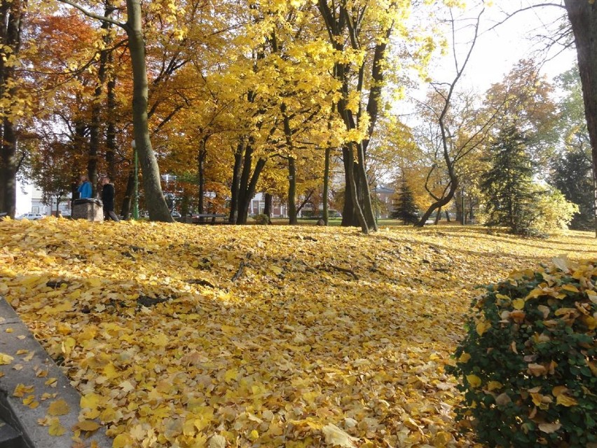 Kolorowa jesień w Kartuzach
