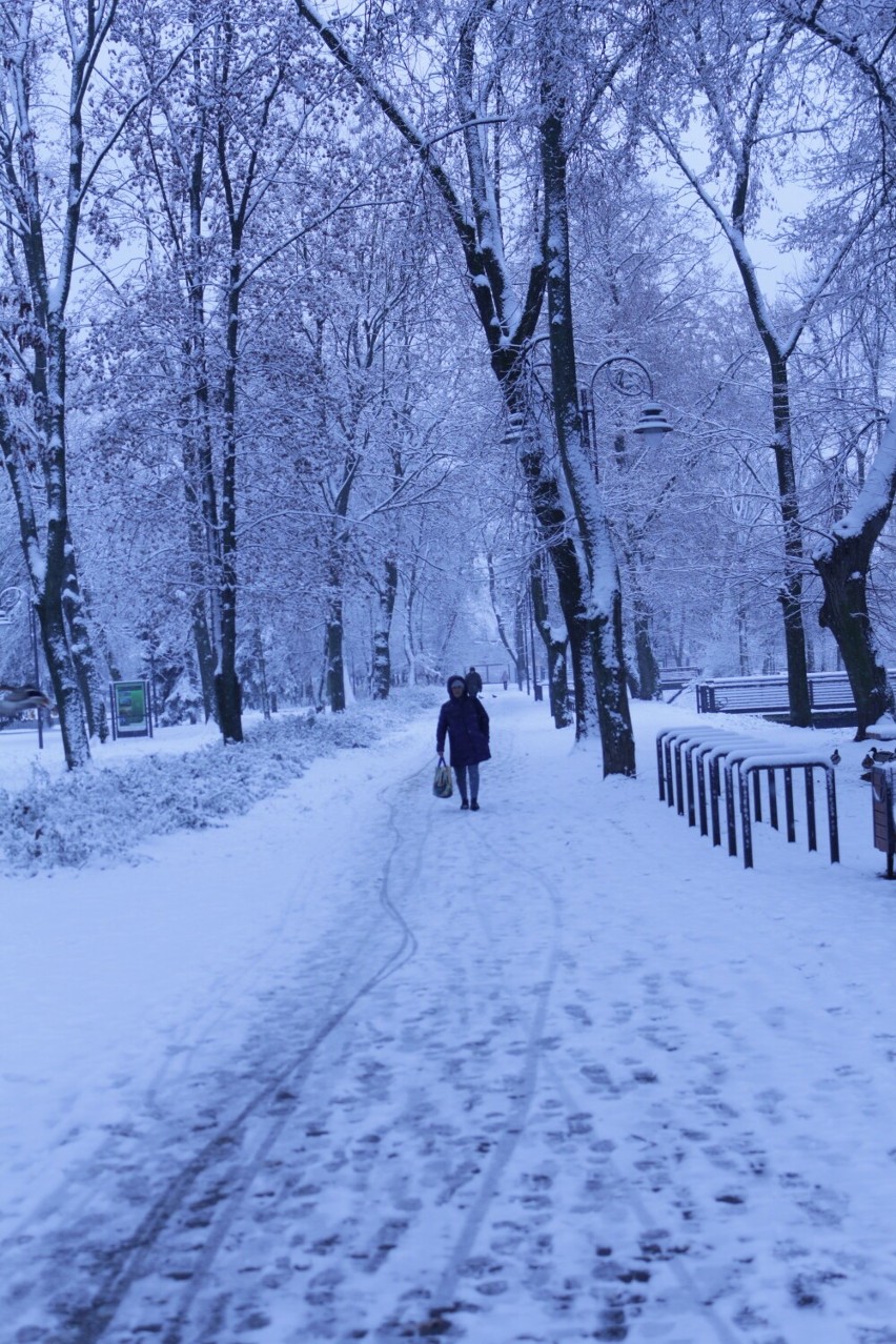 Zima 2022 w Radomsku na Parku Świętojańskim i na ulicach miasta. Pięknie w parku, ślisko na drogach. Zdjęcia