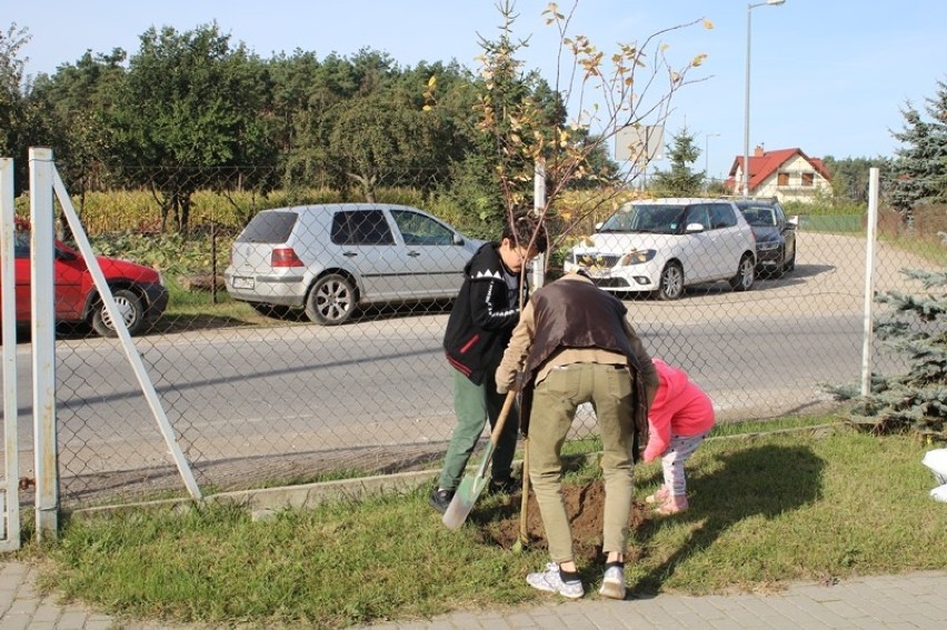 Mieszkańcy Wierzbiczan nasadzili w swojej okolicy nowe drzewa