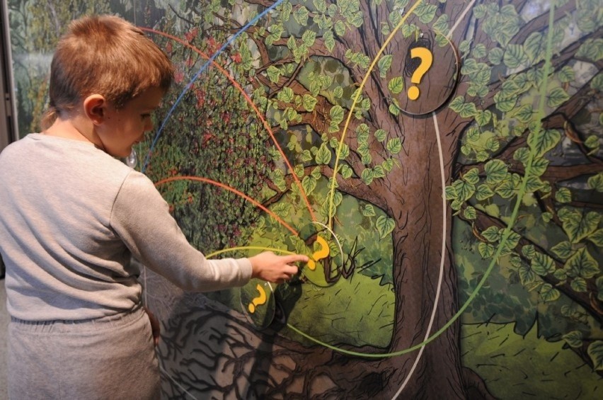 Dzieci mogą się uczyć o ekologii w Lasku Wolskim - teraz...