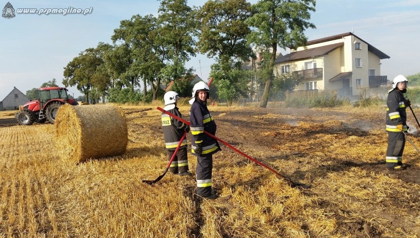 Pożar rżyska oraz słomy w pobliżu miejscowości Młynice