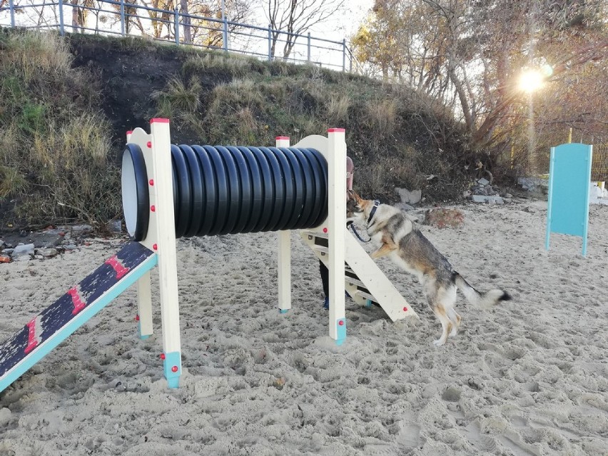  Psia Stacja pojawiła się na plaży dla psów w Brzeźnie. Zamontowane zostały m.in.: tuba, słupki, czy poręcze do przeskakiwania
