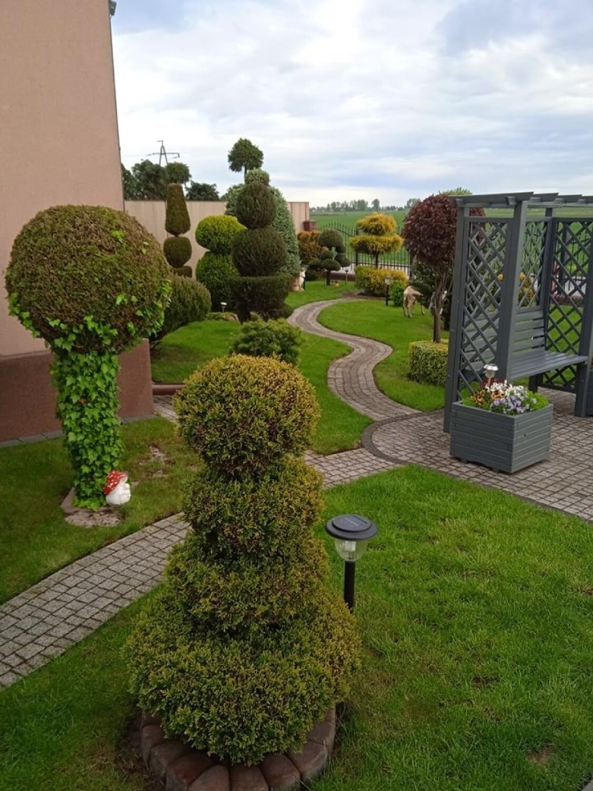 Oto najpiękniejsze ogrody i balkony w gminie Grodzisk Wielkopolski. Robią wrażenie! 