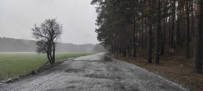 Asfalt urywa się w połowie drogi łączącej Jabłonnę z...