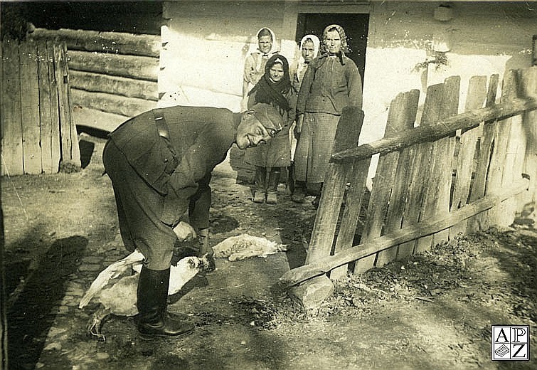 Żołnierz niemiecki rabujący gęsi, okolice Krasnobrodu, 1940...