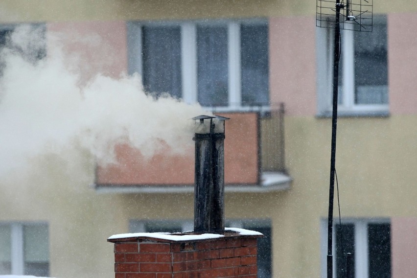 Gdynia: Mieszkańcy Pogórza zaniepokojeni jakością powietrza. "Powinniśmy chodzić w maskach nie tylko ze względu na koronawirusa" 