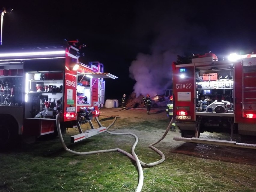Strażacy gasili pożary lasów w gminie Kamieńsk i sterty słomy w Wiewiórowie [ZDJĘCIA]