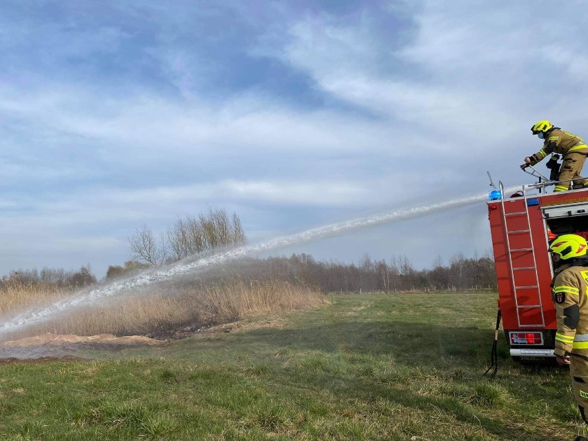 Nadal płoną łąki w powiecie chodzieskim. Najwięcej pożarów przy Noteci, w gminie Szamocin, a także w gminie Budzyń