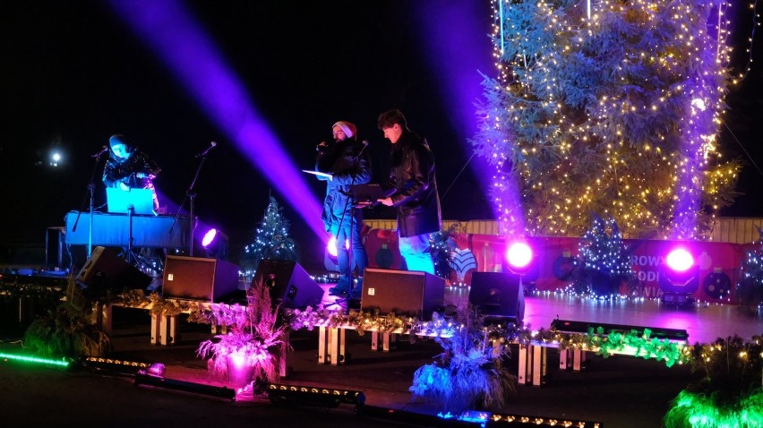 Kilkunastometrowa choinka w świątecznej iluminacji w Parku...
