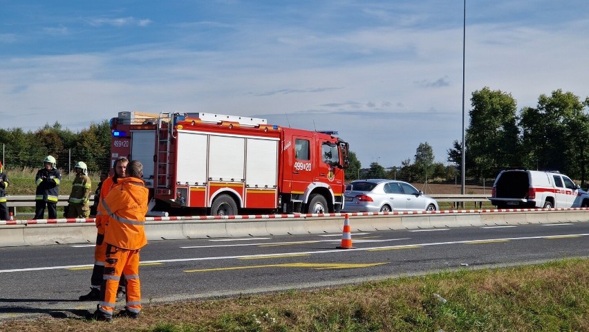 17 dzieci zostało poszkodowanych w wypadku na autostradzie A4 pod Strzelcami Opolskimi. Autobus zderzył się z ciężarówką