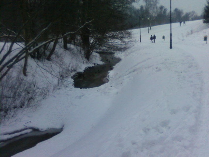 Ścieżka spacerowa pokryta śniegiem. Pięknie wydreptane...