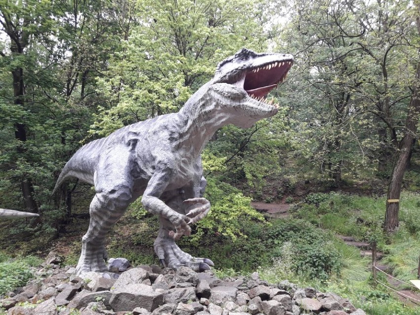 DinoPark i ZOO w Bratysławie. Zobacz, jak tam jest [ZDJĘCIA]