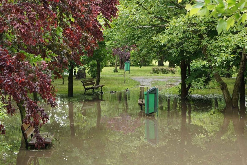 Kaliski Park nad Krępicą znalazł się pod wodą