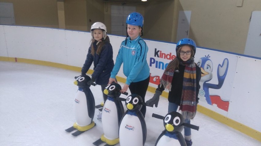 Więcej pingwinków i kasków na lodowisku! 