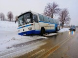 Wypadek autobusu w Wiewiórowie (gmina Dobryszyce). Było ślisko, kierowca jechał za szybko