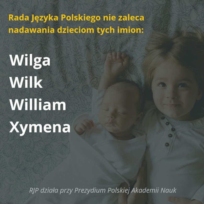 ZOBACZ TEŻ: Sto najpopularniejszych nazwisk w Polsce [LISTA]