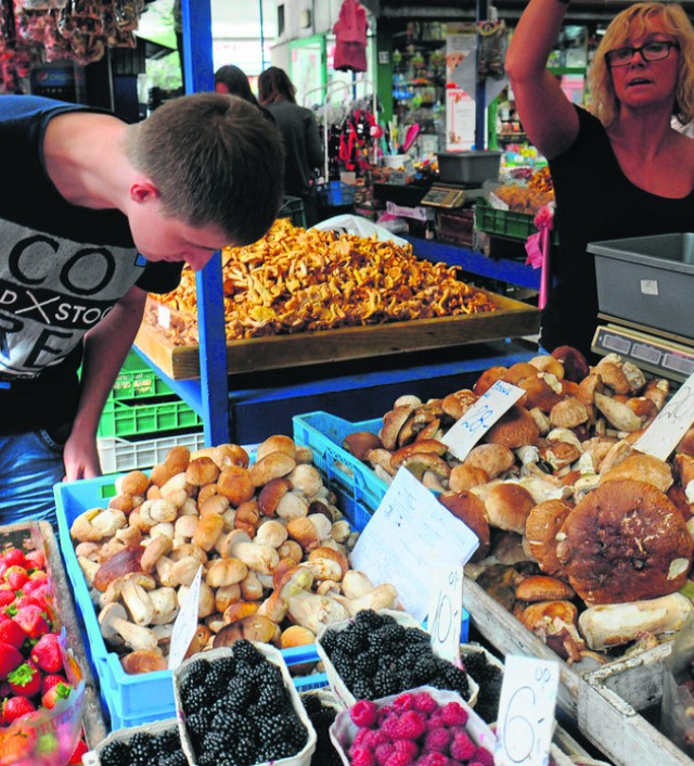 Grzyboznawca codziennie rano sprawdza wszystkie okazy, które krakowianie kupują u handlarzy na „Starym Kleparzu”