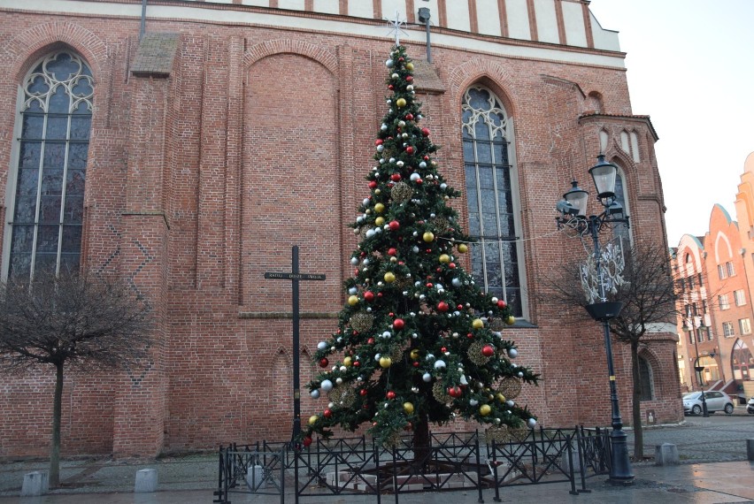 Elbląg świątecznie. Atrakcje w grudniu w Elblągu. Rozświetlenie choinki 6 grudnia i Świąteczne Spotkania Elblążan