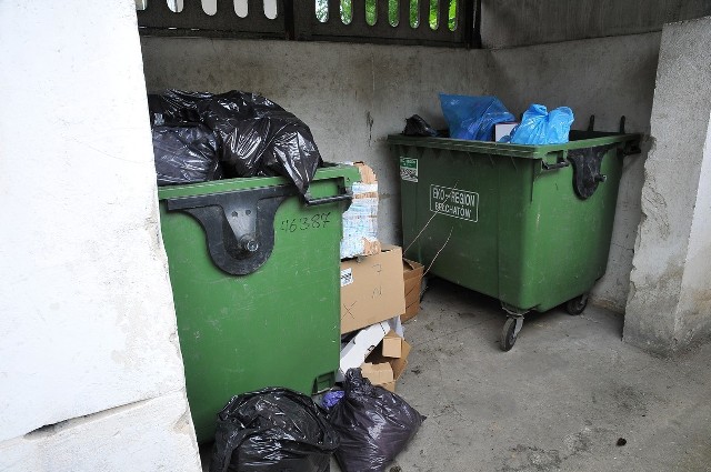 Poniedziałek, 1 lipca: sortowanie śmieci po skierniewicku - zaplecze UM przy ulicy Senatorskiej