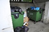 Wpadka z nową ustawą śmieciową - w Skierniewicach nie sortują