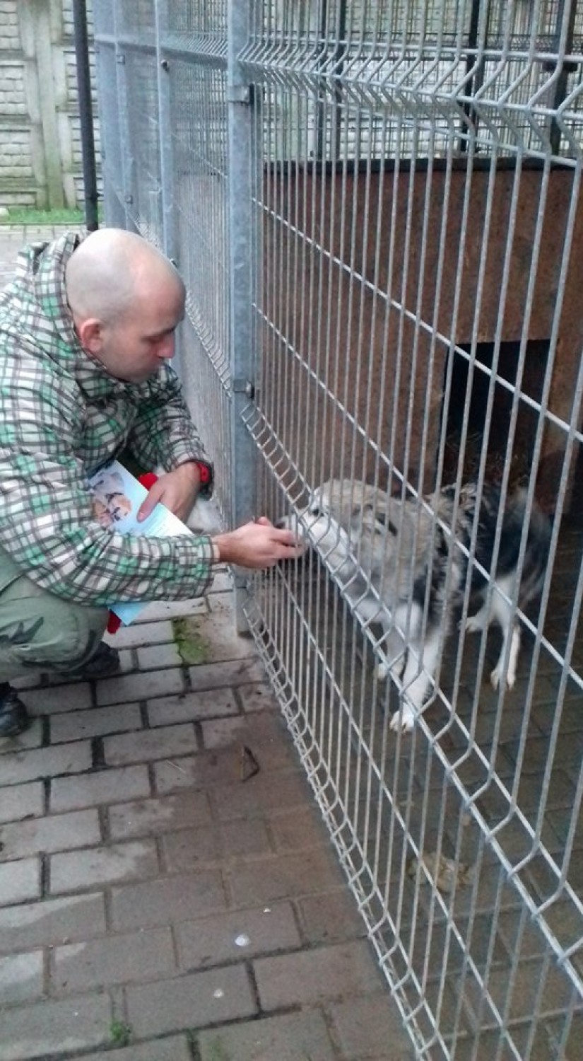 Ćwiczyli i zbierali karmę dla bezdomnych zwierząt ze schroniska w Ostrowie Wielkopolskim