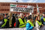 Protest pomorskich rolników w Gdańsku. Wśród haseł: Polska żywność to niepodległość 