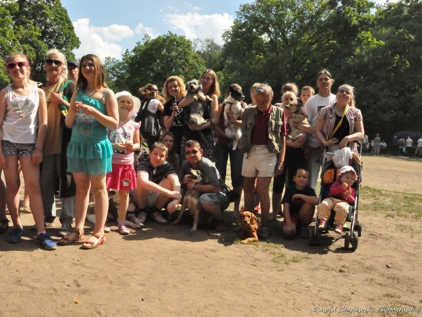 Piknik Przyjaciół Schroniska dla Bezdomnych Zwierząt na Barbarce [Zdjęcia]