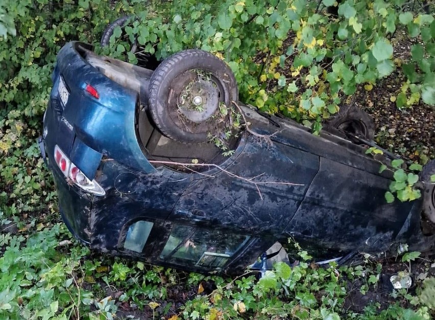 Gmina Przywidz. Wypadek samochodowy w Pomlewie. Potrącenie dzika |ZDJĘCIA