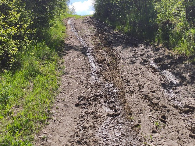 Tak wygląda droga przez pola, która mogłaby posłużyć za tymczasowy objazd. Droga wydłużyłaby się jedynie o ok. 2 km.