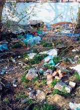 Będzin: Ekologiczny patrol - Śmieci w pobliżu Traffica