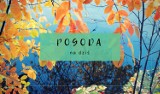 Jaka będzie pogoda w środę, 31 października 2018 (31.10.2018) na Pomorzu i w całym kraju? [prognoza pogody]