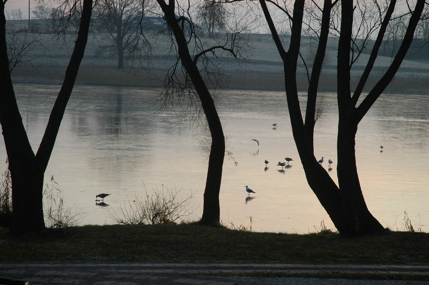 Sztumskie jezioro skuł lód [ZDJĘCIA]