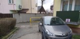 Chełm. Zrobił sobie parking pod balkonem bloku. Zniszczył krawężnik i część krzewów. Zobacz zdjęcia