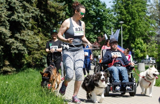 Rzeszów Run Hau to jeden z 16 biegów, jakie odbywają się w całej Polsce, których celem jest zbiórka pieniędzy dla schronisk dla zwierząt. W Rzeszowie dochód przekazano na rzecz "Kundelka". Zawodnicy biegli na dystansach 5 lub 10 km i mogli mieć ze sobą psa.