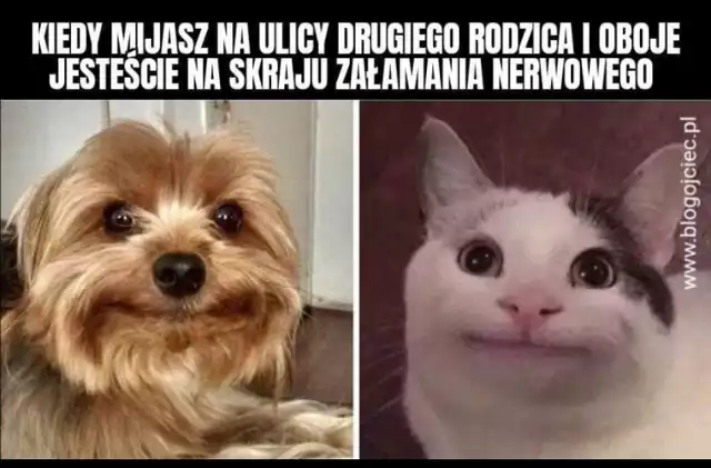 Kiedy mijasz na ulicy drugiego rodzica i rozumiecie się bez słów