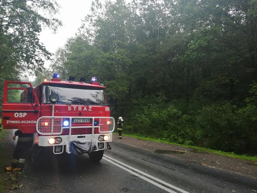 Gwałtowna burza nad Żywiecczyzną. Zalane piwnice, podtopione drogi i połamane konary [ZDJĘCIA]