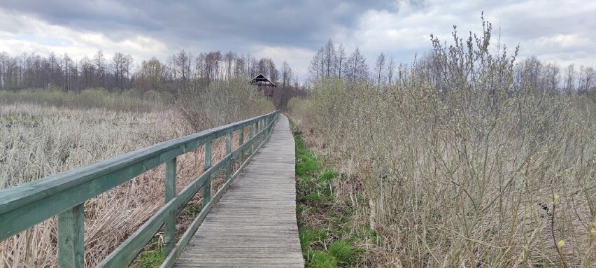 Bagno Całowanie...