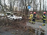 Skutki wichury w Siemianowicach Śląskich: połamane drzewa i uszkodzone samochody