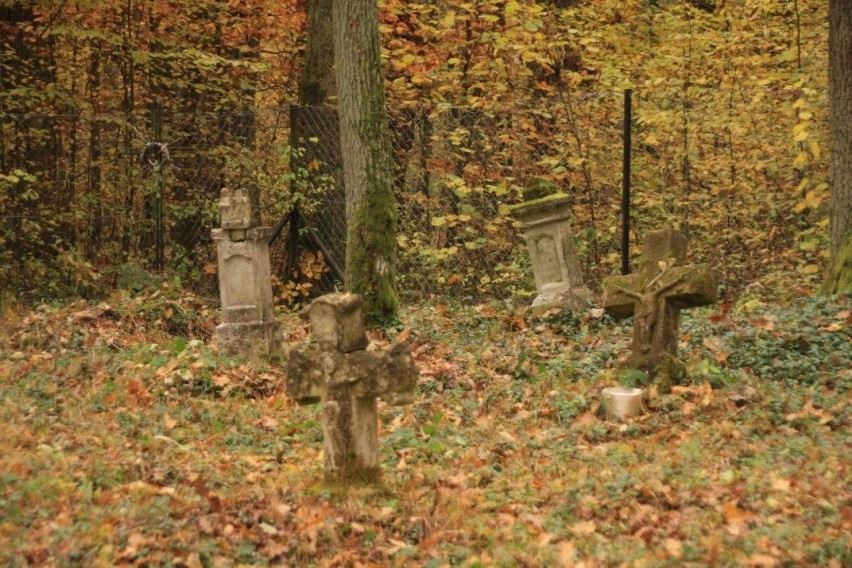 Dawny cmentarz w nieistniejącej wsi Miłków w Nadleśnictwie...
